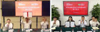 中國寶武，究竟儲備了多少鐵礦？